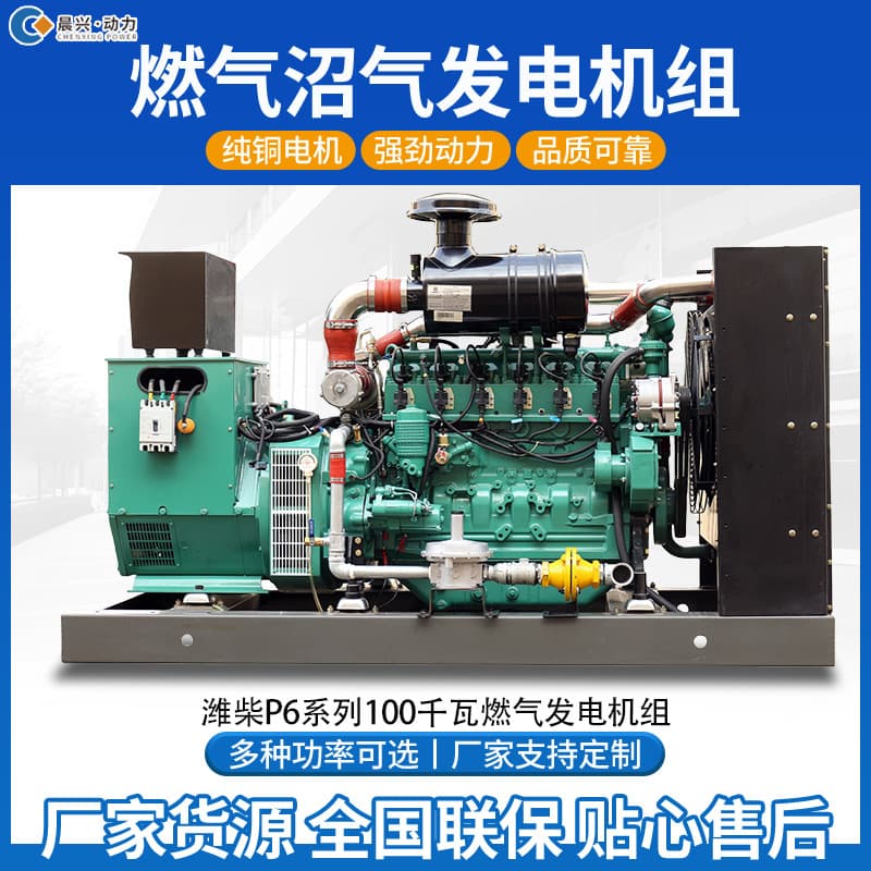 Natural Gas Biogas Straw Wood Chips Biomass Generator Sets, Parallel and Grid-Connected CNG Compressed Gas Generator