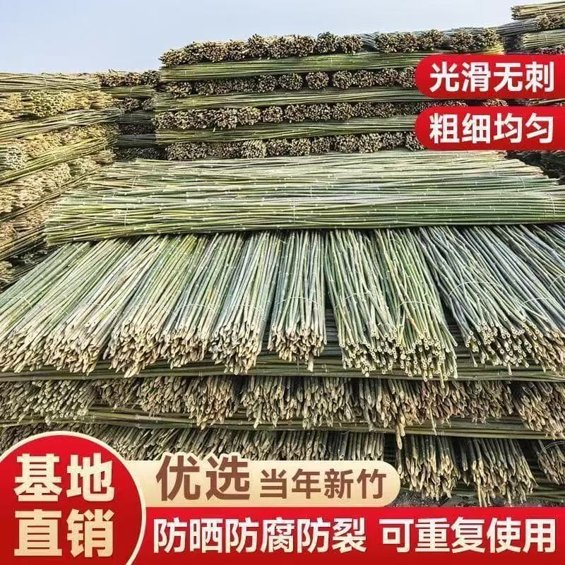 Bamboo pole vegetable garden frame bamboo bamboo frame flagpole cucumber bean tomato climbing vine vegetable frame bamboo pole bracket free shipping