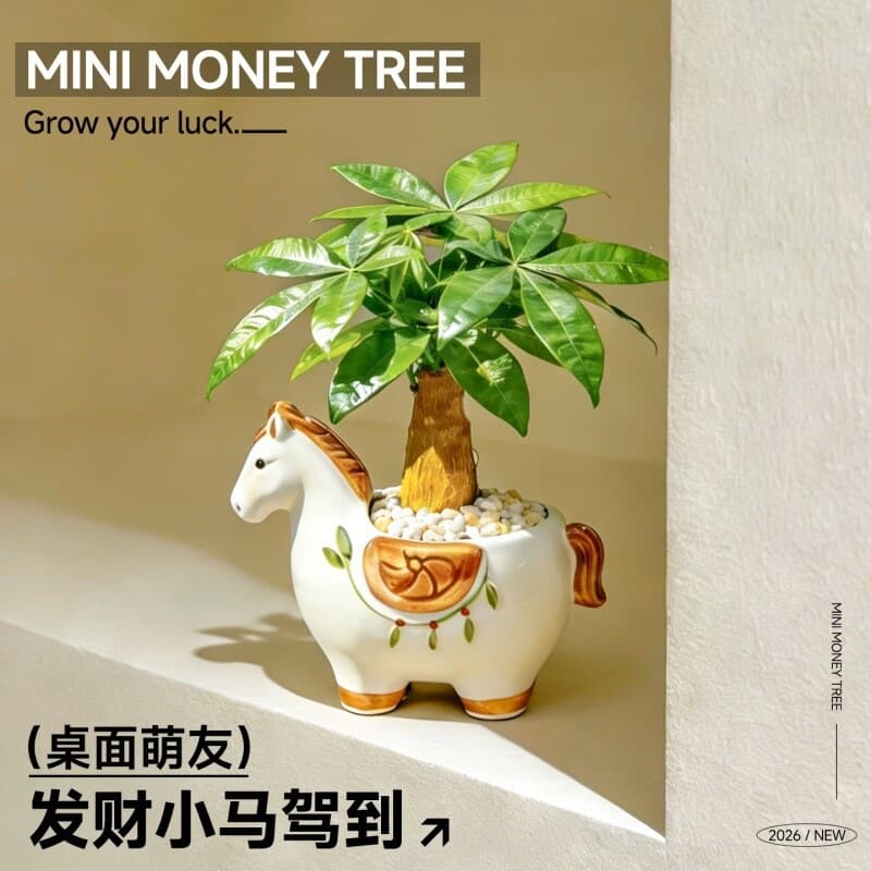 Money Tree Potted Plant for Instant Wealth, Desktop Fortune-Attracting Green Plant for Kindergarten and Office, Year of the Horse Gift