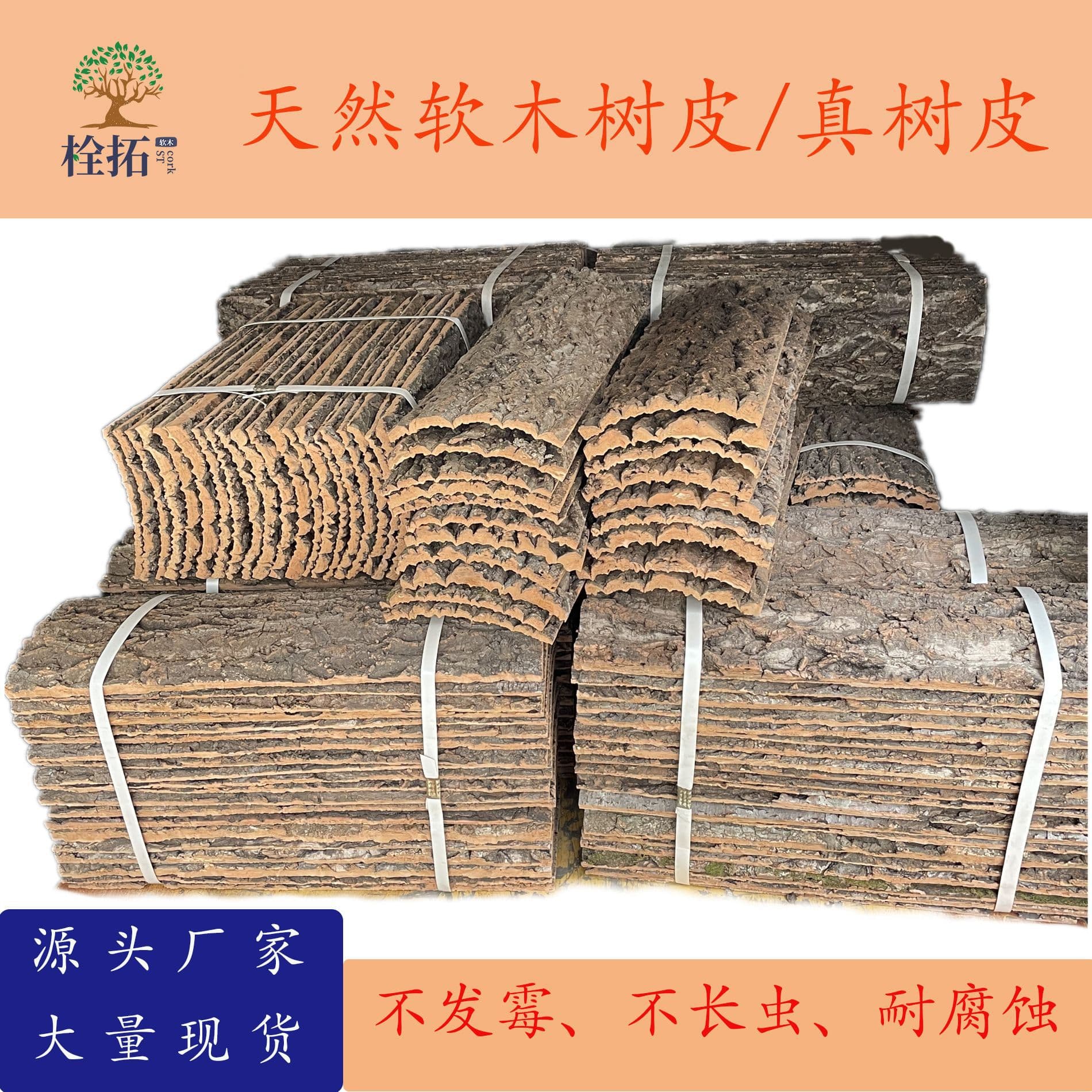 Real Bark Cork Bark Champagne Bark Climbing Pet Fish Tank Landscaping Green Plant Wall Decoration Aquarium Decorative Wall Bark