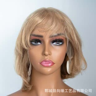 High Quality Human Hair Wigs Glueless Wigs