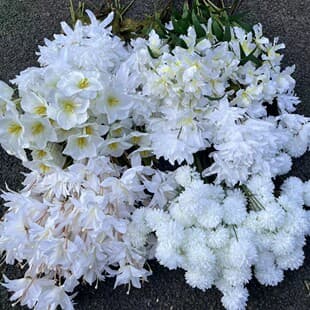White Artificial Flowers 100-Pack Wedding Decoration Fake Flower Arrangement Floral Material Plastic Flower Arch Flower