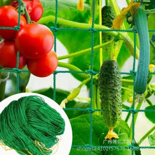 Heavy-duty climbing support net for melons and fruits, cross-border plant climbing net, planting net, chrysanthemum anti-lodging green lattice net