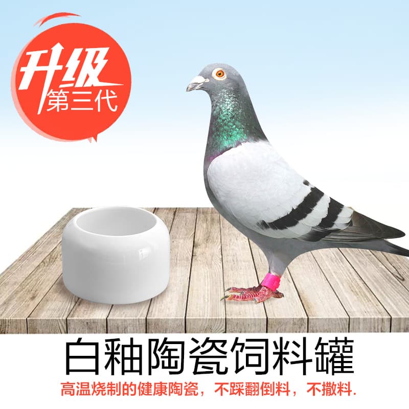 Ceramic Pigeon Racing Feed Bowl, Anti-Spill Food Container, Myna Parrot Water Bowl, Bird Cage Supplies