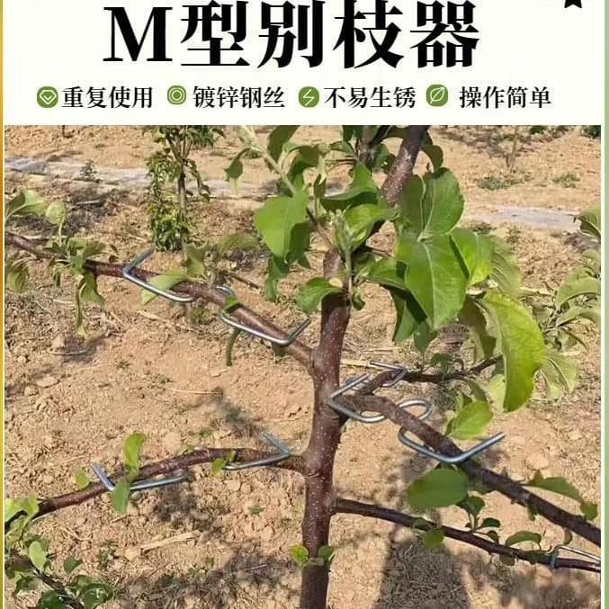 M-Type Branch Puller, Fruit Tree Branch Spreader, W-Type Branch Spreader, Cherry and Pear Tree Branch Bender and Shaper, Hot-Dip Galvanized Steel Wire