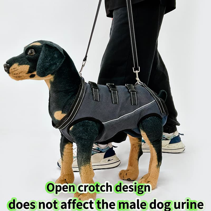 Pet Support Suit for Elderly Disabled Dogs Walking Aid Harness Assistance for Weak Head/Leg Senior Dogs Factory Direct