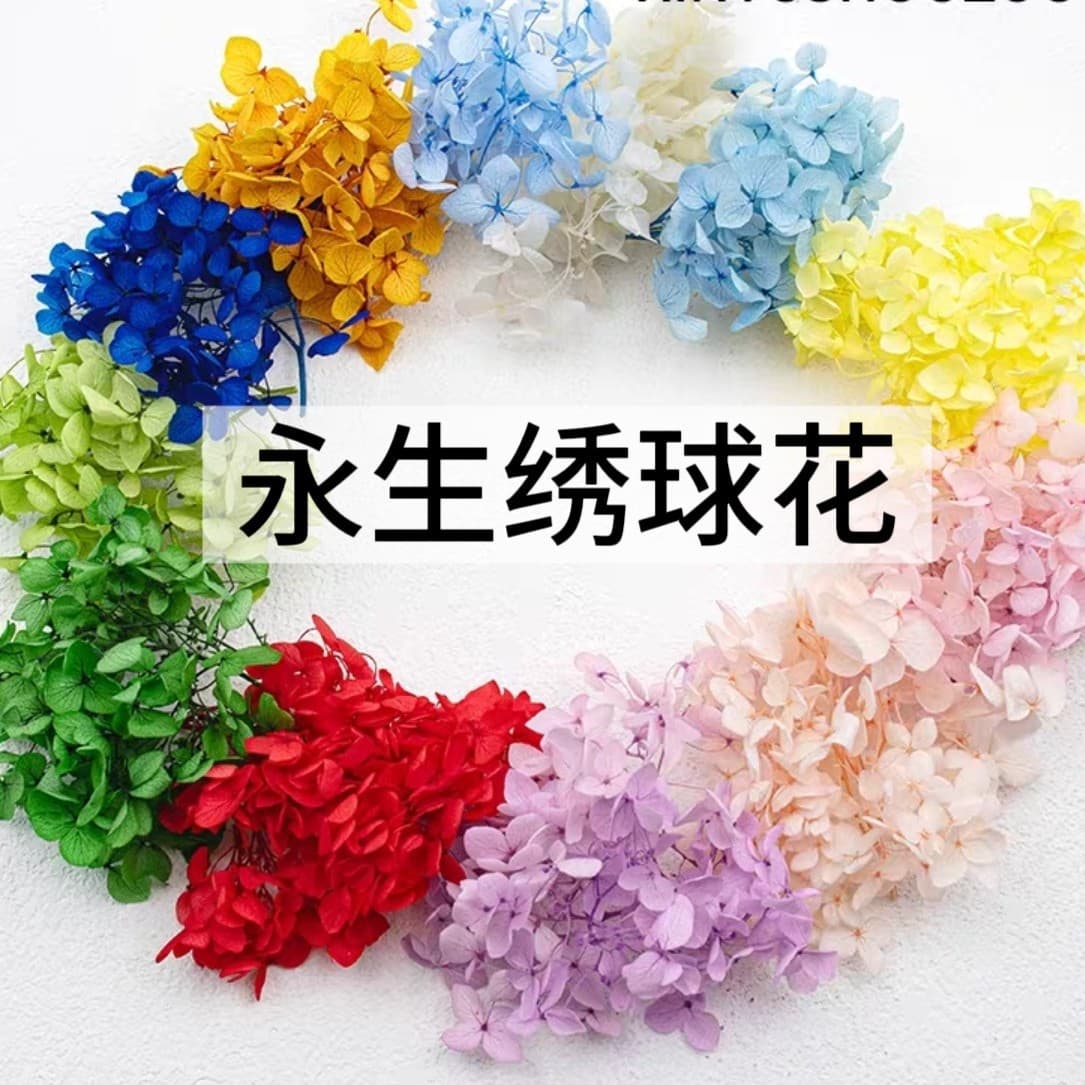 Everlasting Hydrangea DIY Material Kit for Engagement Wedding Table Decor Team Building Bride Round Fan Decoration Flowers