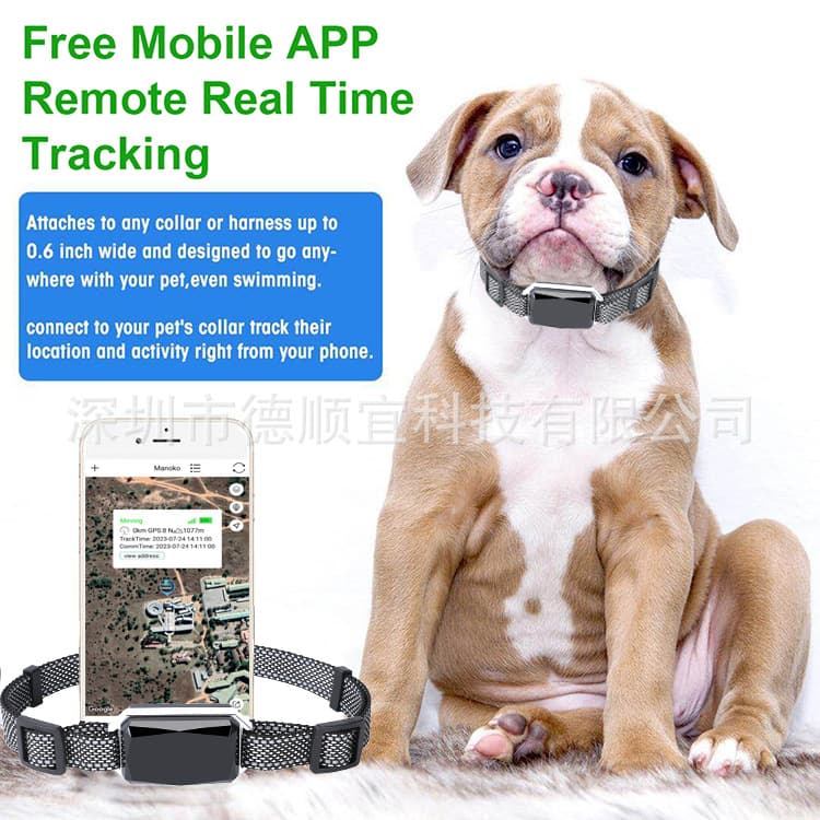 Popular 4G Full Network Compatibility G58 GPS Locator Pet Collar for Dogs and Cats - Anti-Loss and Anti-Theft Tracker