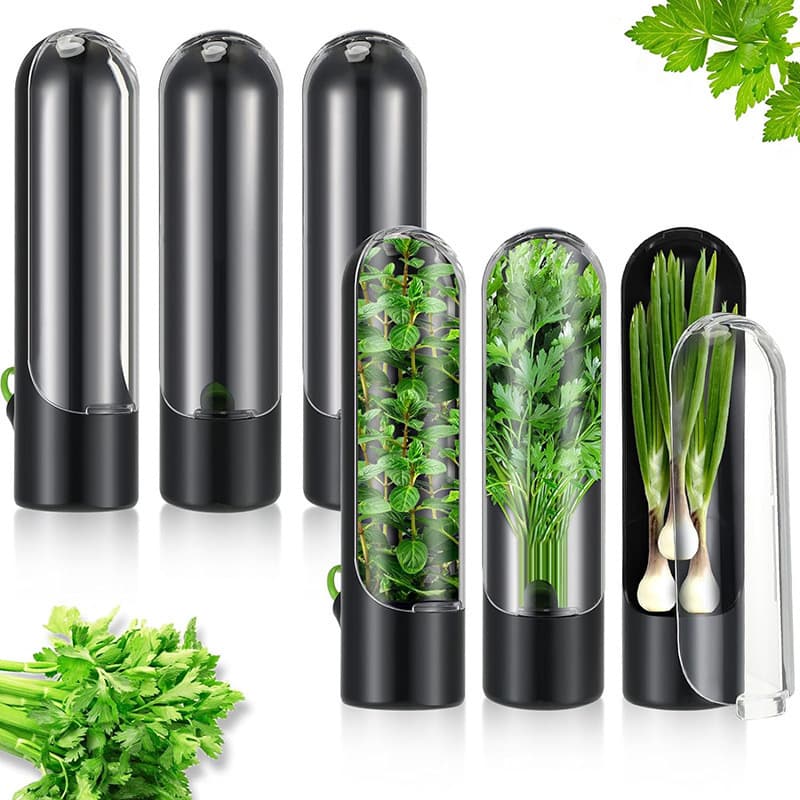 Temu Shein Amazon Cross-border Hot Seller Vanilla Storage Box Vegetable Freshness Keeper Cilantro Herb Storage Box