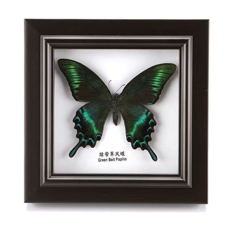 Butterfly Specimen Crafts DIY Decorations Butterfly Picture Frame Birthday Gifts Wall Decorations Office Culture/Specimens