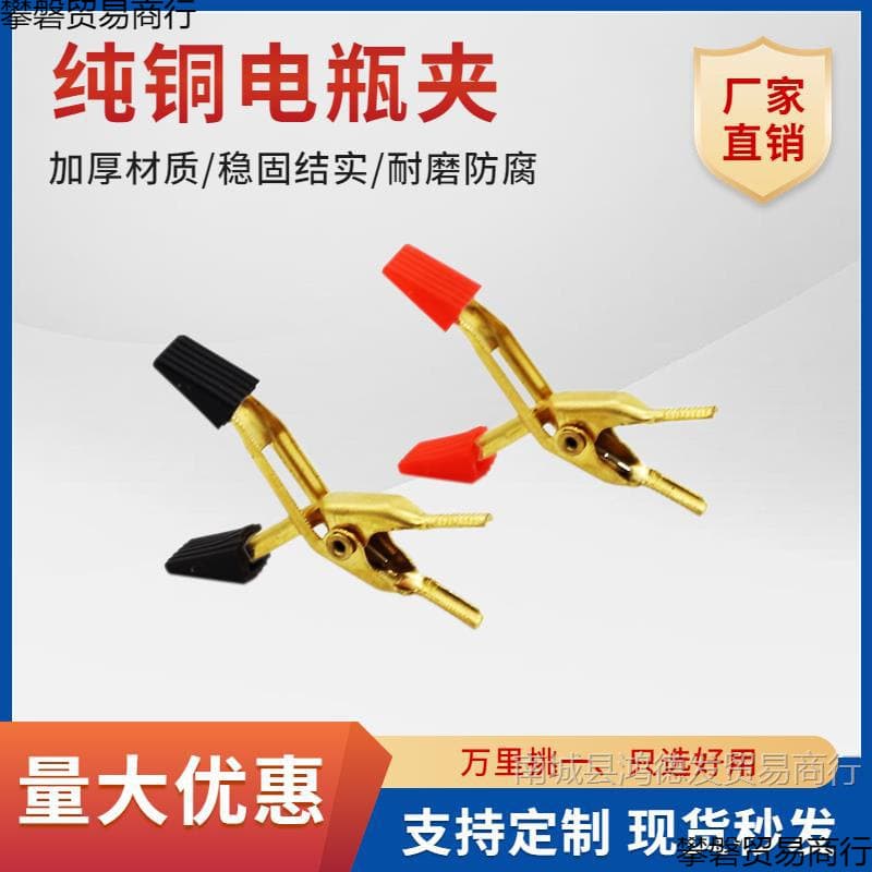 Electric Vehicle Multifunction Pure Copper Charging Clamp Alligator Clip Charge-Discharge Test Clip Inspection Instrument Compatible with Tianneng and Chaowei After-sales