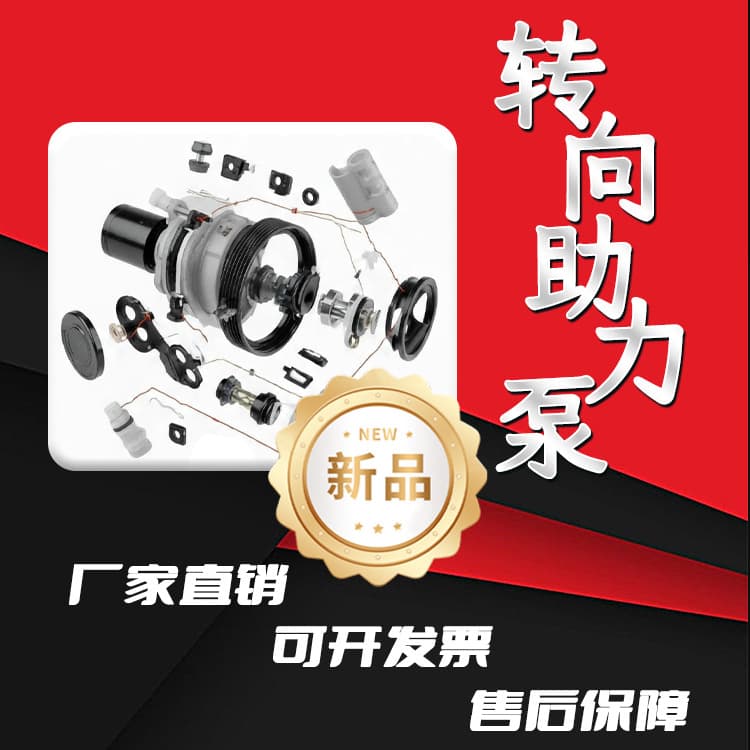 For Volkswagen models power steering pump 000000