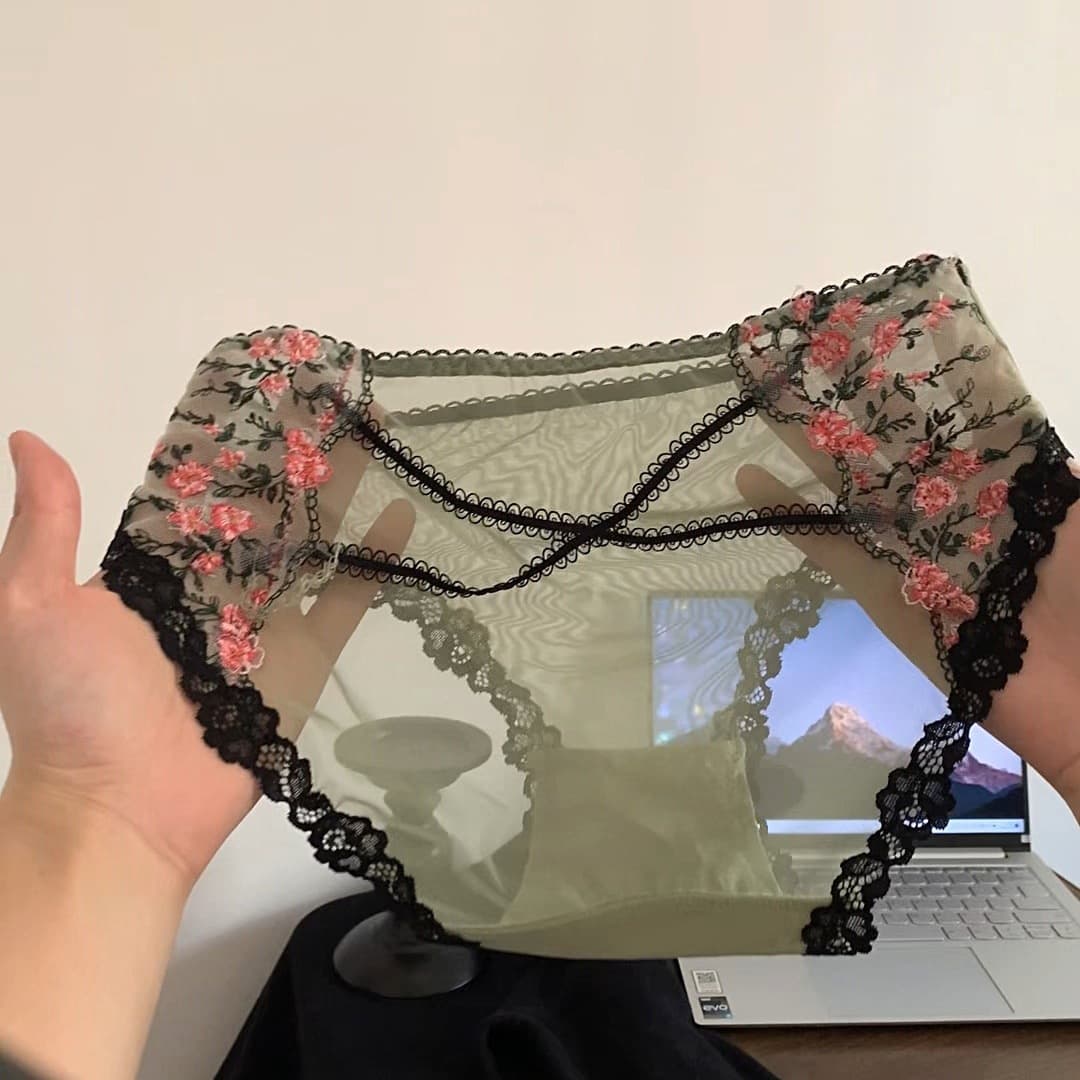 French pure lust sexy embroidered lace girl mesh panties for women low-waist transparent hot underwear for women