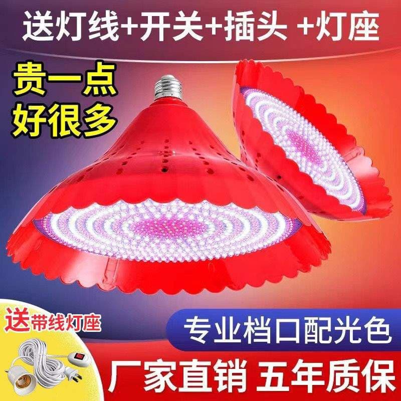 Alibaba-1688 product cannot be viewed or has been removed