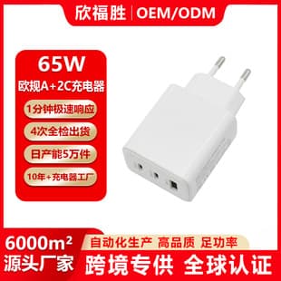 EU Standard 65W Multi-Port Charger, Compatible with Phone Tablet Fast Charger EU Standard A+2C GaN Charger