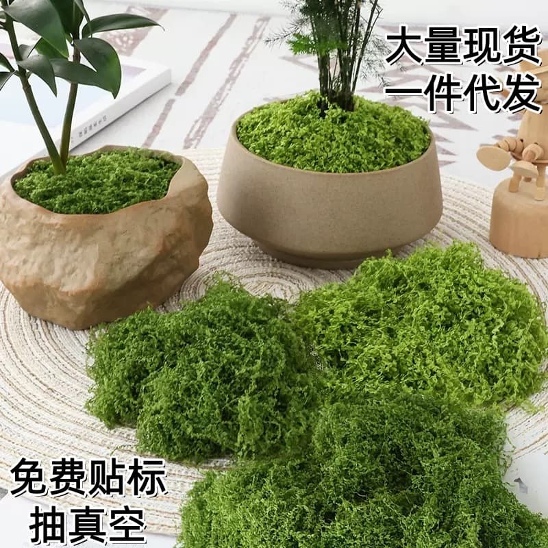 Cross-border hot selling simulated moss immortal wool moss bonsai paving artificial turf wholesale labeling