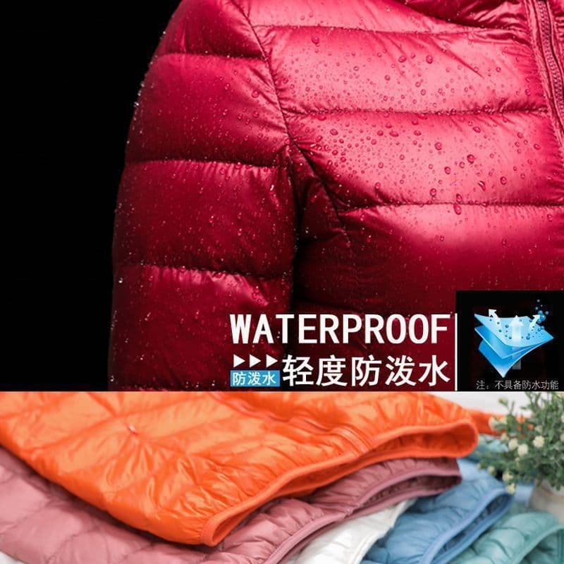Lightweight Down Cotton Coat for Women, Short Hooded Fall Winter New Style, Slim Fit Plus Size Thin Casual Jacket
