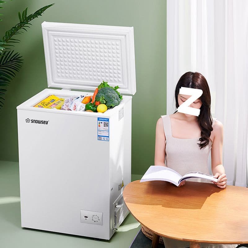 Small Freezer for Home Use, Full Freezing Compact Freezer with Preservation, Dual-Use Horizontal Freezer with Free Shipping