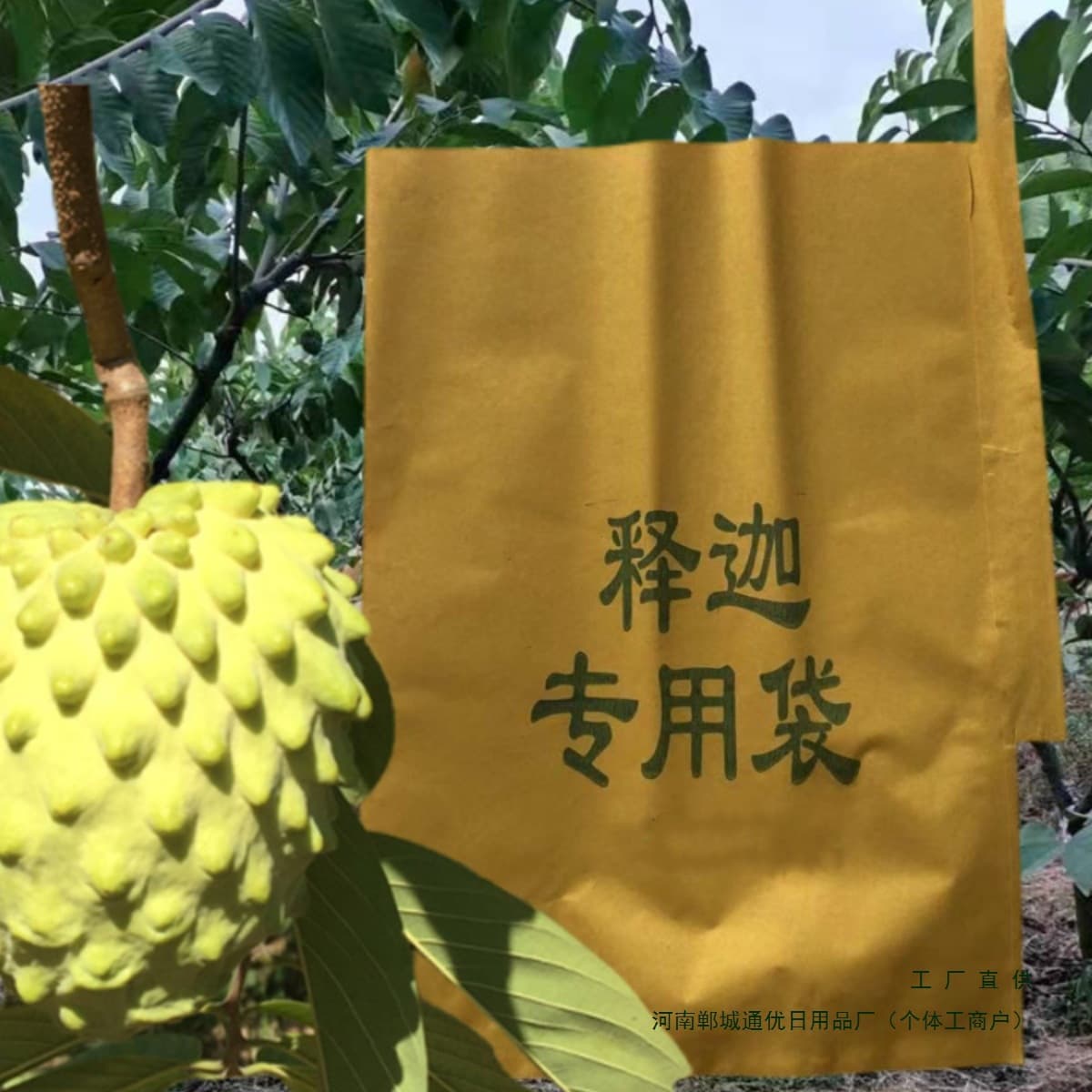 Sugar Apple Fruit Fly and Sting Fly Protection Bagging Custard Apple Pomegranate Pineapple Sugar Apple Insect Protection Thickened Paper Fruit Bag