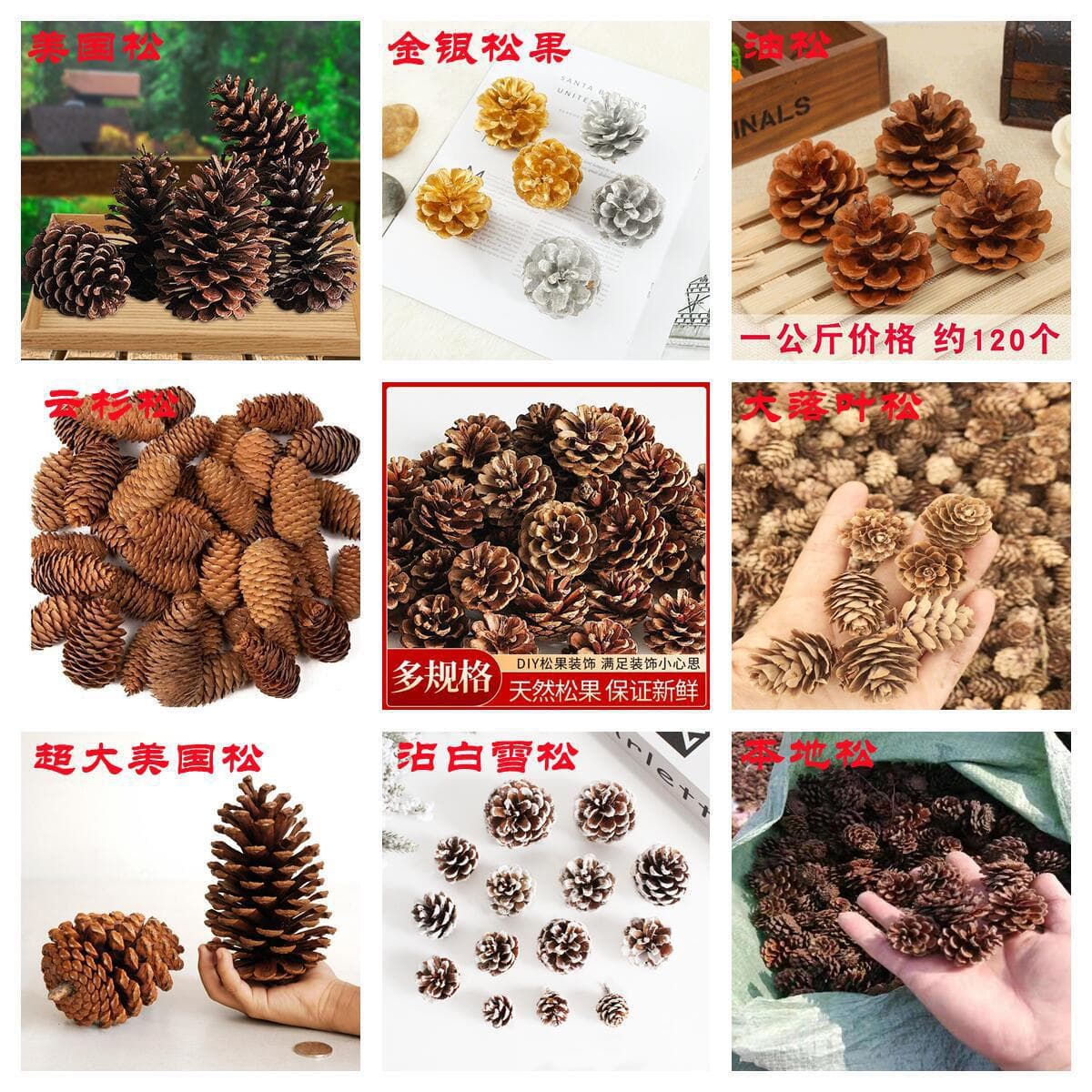 American pine, Chinese pine, native pine, spruce, larch, Christmas decorations, pine cones, dried flowers, DIY decorations.