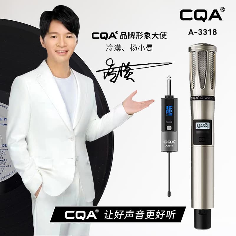 CQA3318 Wireless Professional Microphone, One-to-Two Indifferent, with Rechargeable Microphone, Sound Card, Speaker, Universal Compatibility