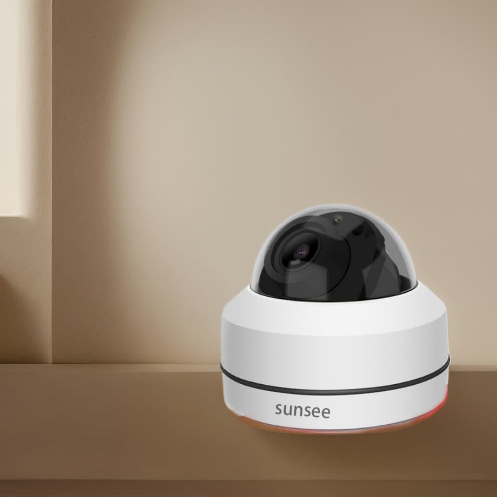 2.5-inch Dome Camera for Home Surveillance Smart 1080P High-Definition Infrared PTZ Dome POE Power Supply Wholesale