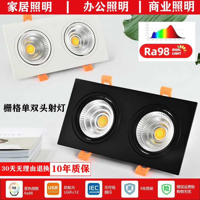 Single/Double Head Recessed Grid Spotlights with Small Hill Effect, Anti-Glare Commercial Track Lights for Supermarkets and Homes