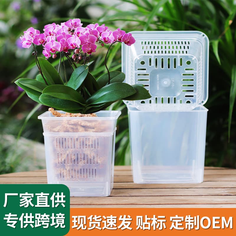 Transparent Phalaenopsis Orchid Pot, Breathable Double Pot, Root Control Pot, Nursery Pot, Orchid Pot