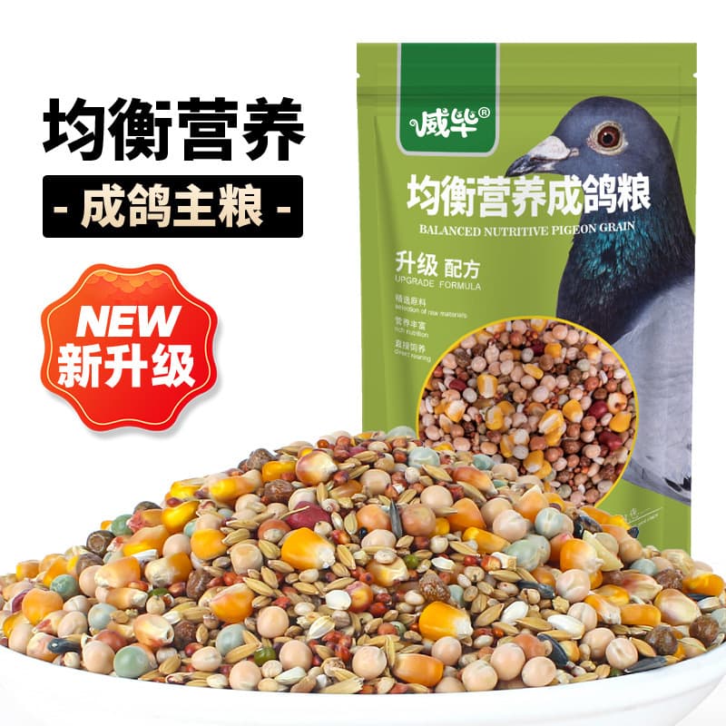 Pigeon food nutrition pigeon feed supplies carrier pigeon racing pigeon breeding pigeon with corn small grain pea grain bird food wholesale