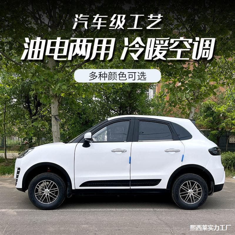 Pickup and Drop-off Car for Home and Business Use, New Energy Adult Four-Wheel Scooter, Small Electric Vehicle