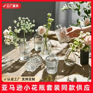 Export Factory Small Flower Vase for Flower Arrangement, Light Luxury High-End Ins Style Decoration, Coffee Table Dining Table Vase Wholesale