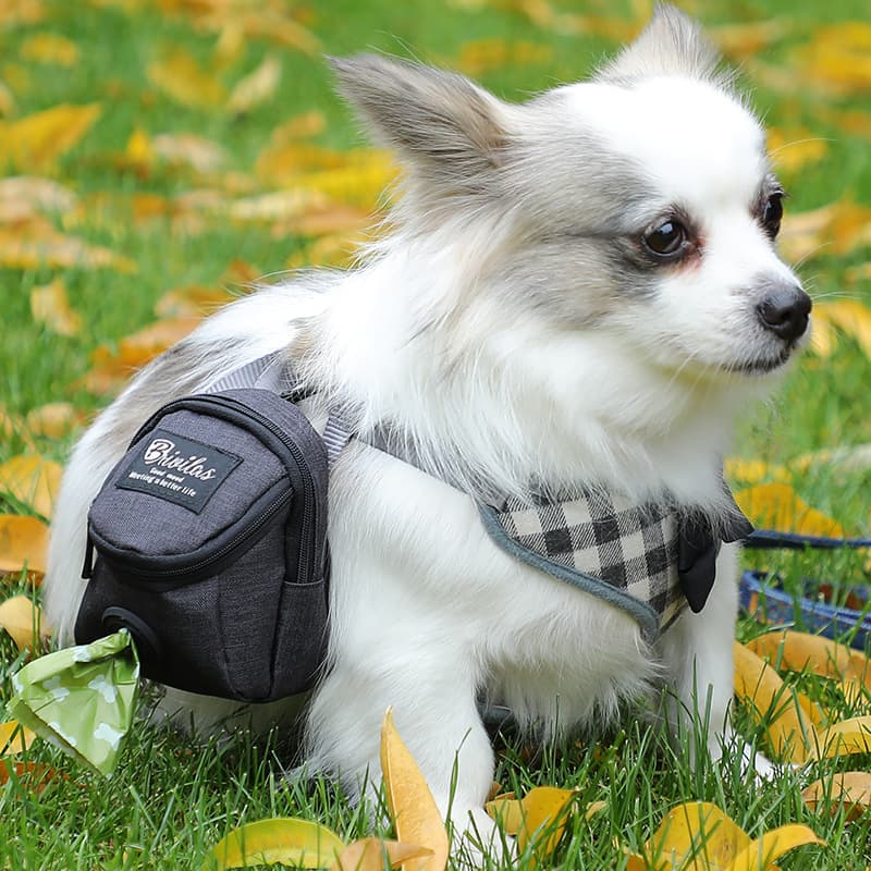 Outdoor Dog Walking Bag Simple Pet Poop Scooper Bag Snack Trash For Dogs Easy Carry Dispose Pet Waste
