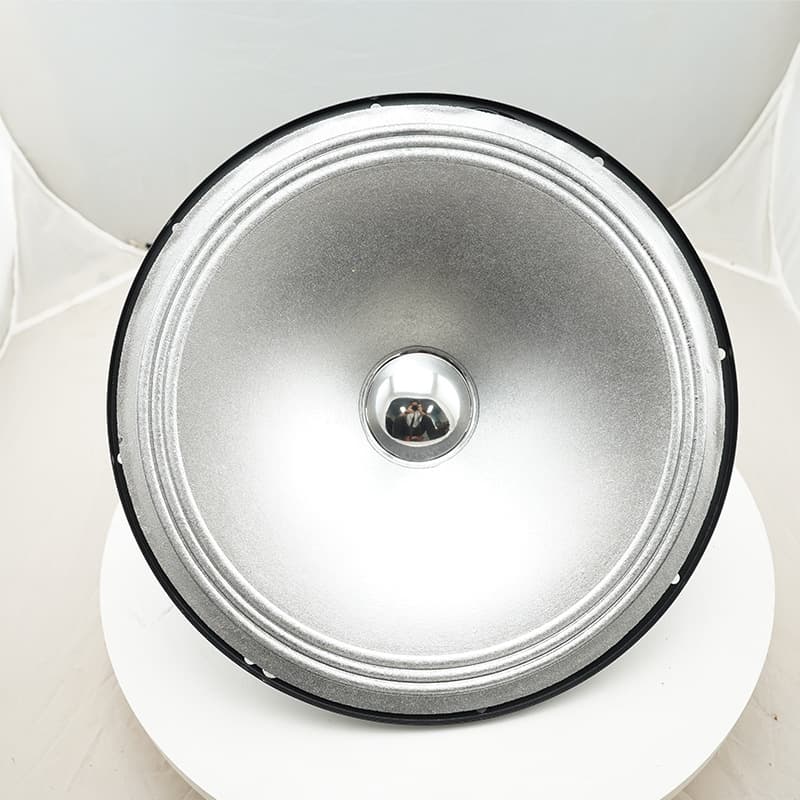 TYR-1203-0034 12-inch Full Paper Silver Cone Speaker 80 Magnet 19 Core 20W Woofer