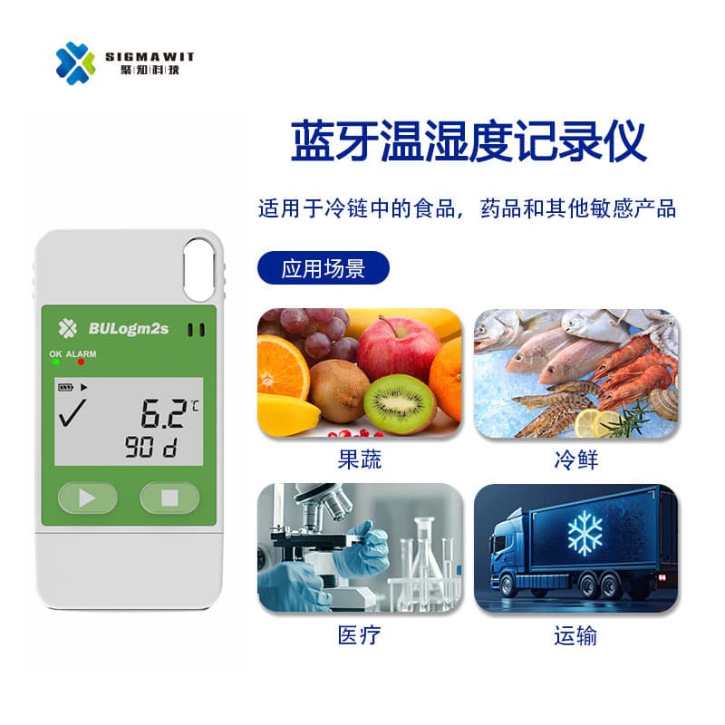 Low-Temperature Cold Storage Bluetooth Thermometer Logger for Cooler Cabinet, Cold Chain Transport, Greenhouse Vaccine Temperature and Humidity Recorder