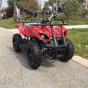 Little Bull 49CC Mini Kids Four-Wheel Beach Buggy Kids ATV Mini Off-Road Motorcycle