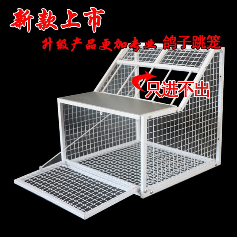 Pigeon jumping cage, carrier pigeon and racing pigeon supplies and equipment, pigeon loft, pigeon loft import, only entering but not exiting the jumping cage, release cage door