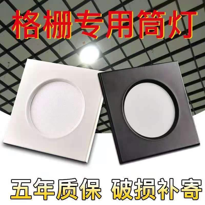 LED Grid Light 15x15 Aluminum Grid Ceiling Double Head 10*20 Black Grape Arbor Specific Square Downlight Spotlight