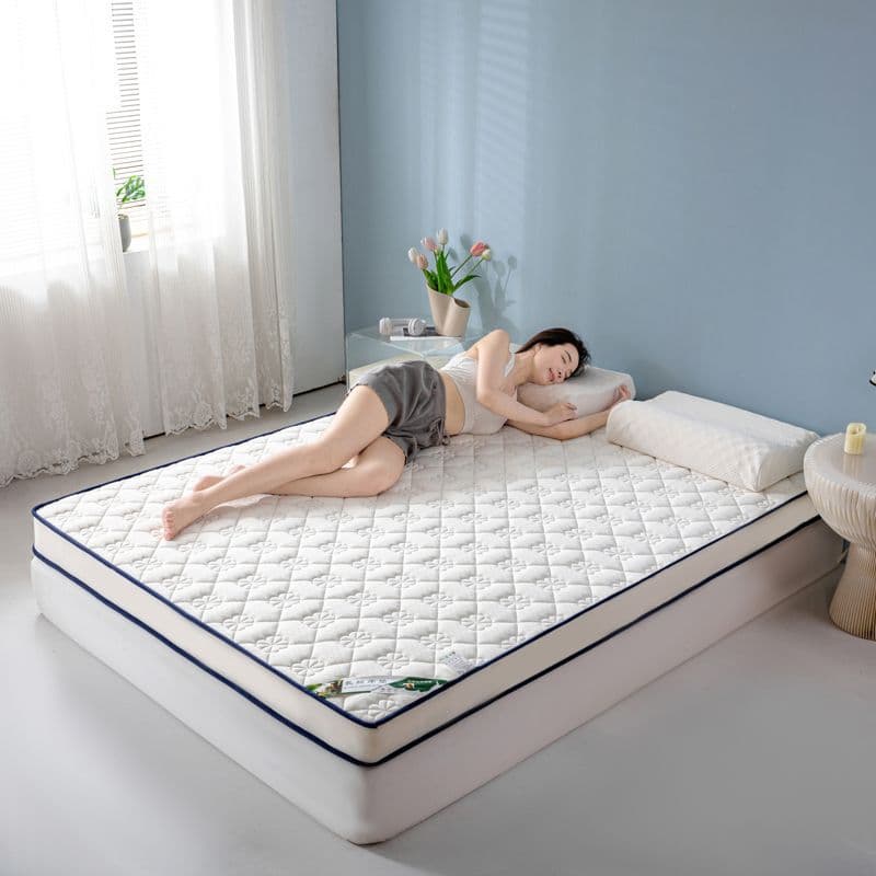 Memory foam mattress, home use, soft mattress, double, thickened, student dormitory, single, tatami, memory foam 3D mattress, mattress pad.