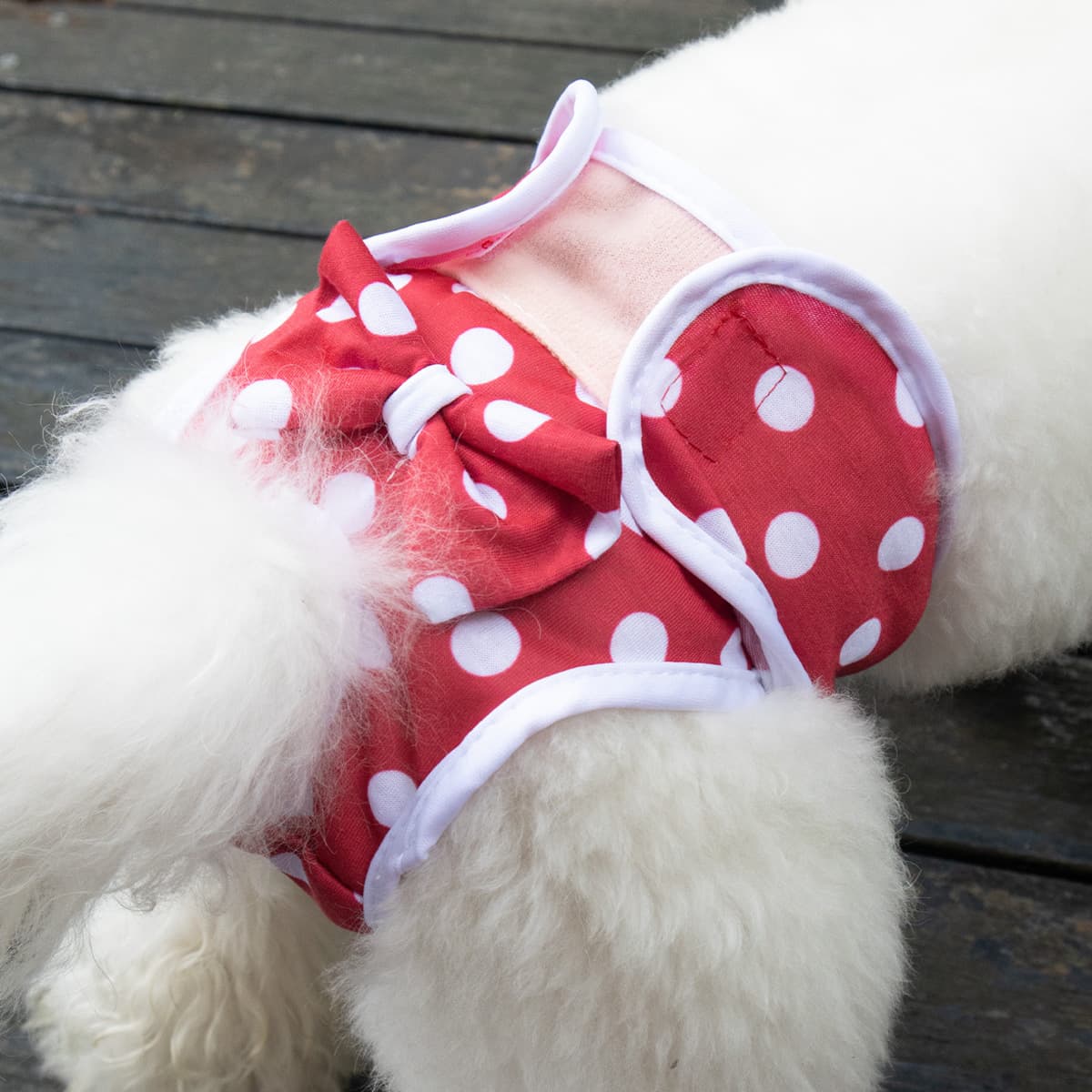 Teddy Dog Period Pants Small Dog Anti-Harassment Pants Suitable for Female Dogs Lightweight Comfortable Disposable Dog Diapers