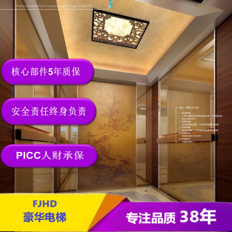 Machine Room-Less Passenger Elevator Load 800-1000KG, Custom Design Installation Based on Specific Location