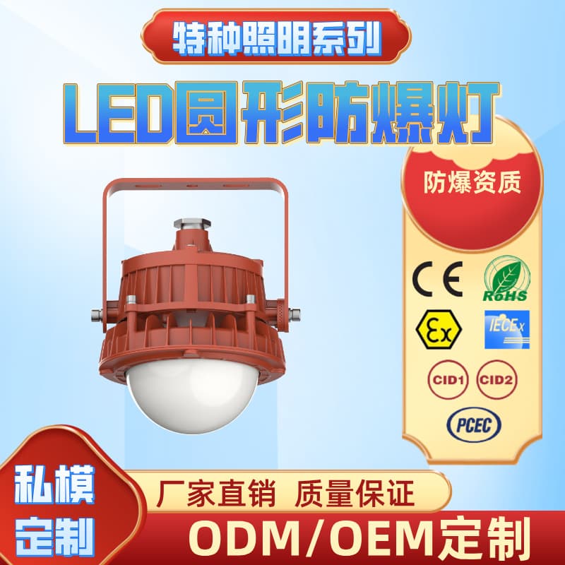 LED Explosion-proof Lamp Special Lighting Roadway Light Explosion-proof Platform Light Industrial Explosion-proof Lighting