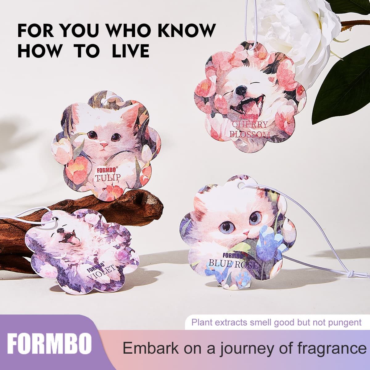 [Cross-border Exclusive] FORMBO Scented Cards, Fresh Air Long-lasting Car Fragrance Hangers