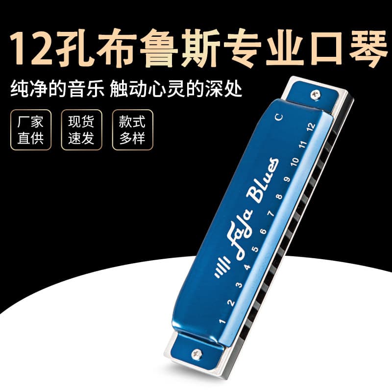 EASTTOP 12-Hole Professional Harmonica Aluminum Grid Teaching Instrument for Adults Blues/Tone Scale Music Instrument
