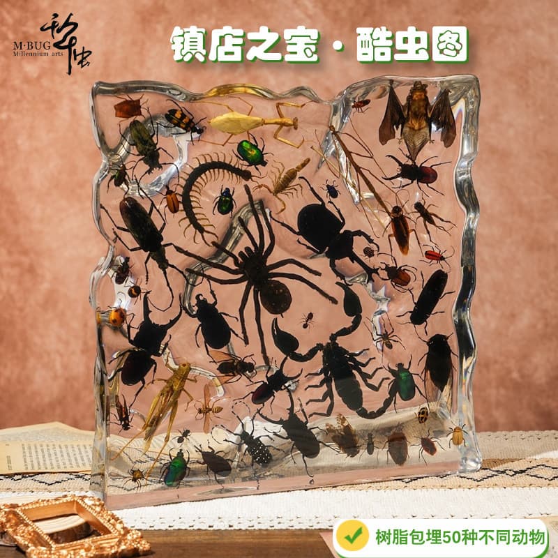 Cool Bug Collection Centipede Treasure Resin Craft Figurine, Contains Hundreds of Insect Specimens, Museum Collection