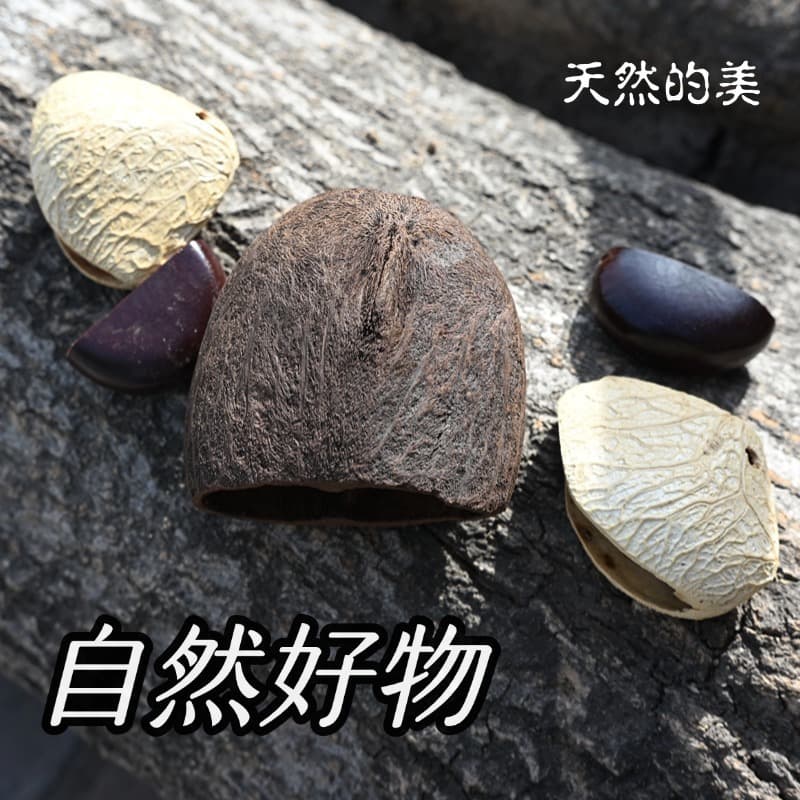 Natural Nut Shell Wind Chime DIY Handmade Material Package Indonesian Fruit Sound Beam Shaking Bell Yoga Meditation Sound Therapy Instrument