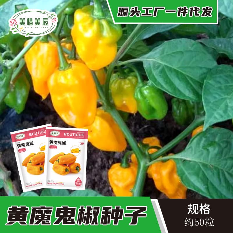 Yellow Ghost Pepper Seeds, Indian Ghost Pepper Seeds, Bhut Jolokia Seeds, Shuan Shuan La Super Hot Chili Pepper Seeds