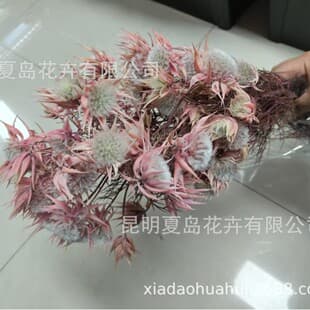 South African Bridal Flower - Preserved Flower, Fairy Makeup, Bridal Bouquet, Dried Flower Hand Bouquet, Girl Portrait Decoration