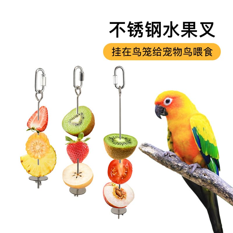 Parrot Hanging Fruit Fork Stainless Steel Corn Vegetable Hook Fruit Clip Feeder Toy Bird Supplies