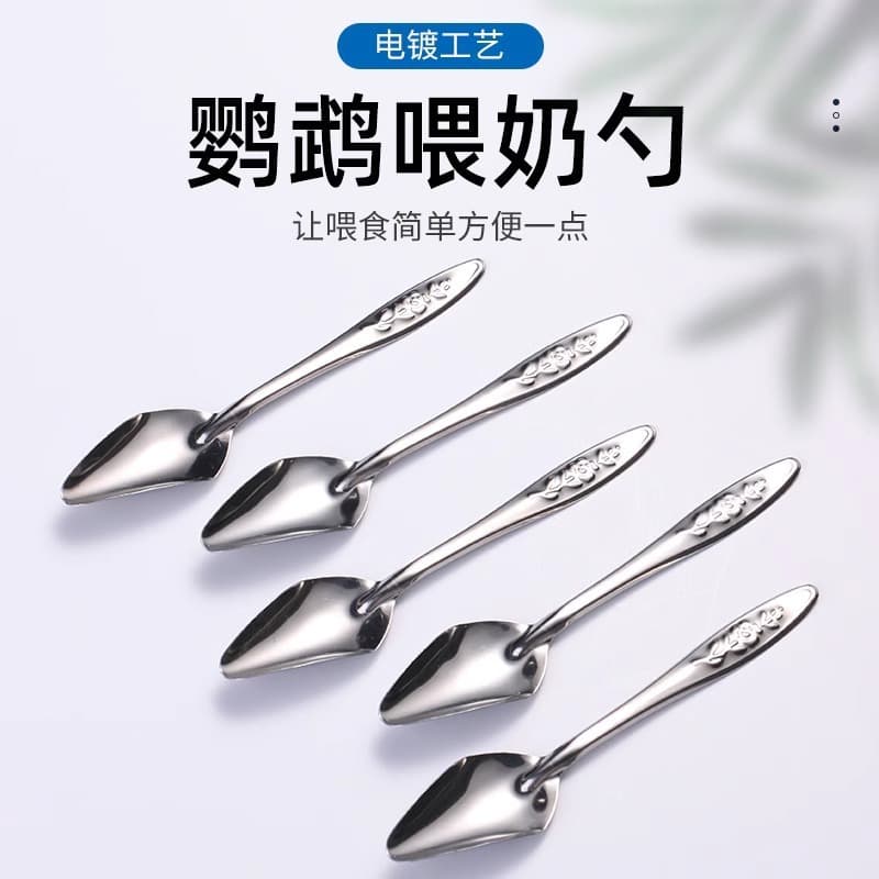 Stainless steel pointed spoon, parrot feeding spoon, baby bird nurse spoon, parrot and chick water feeding spoon wholesale