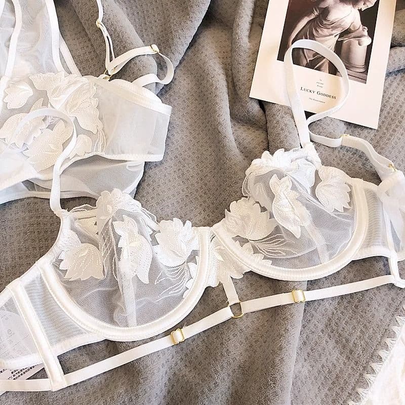 French Embroidery Mesh Lace Bra Set, Ultra-Thin, Minimizer for Large Bust, Soft Underwire, Push-Up, Side Coverage, Sexy Lingerie Set